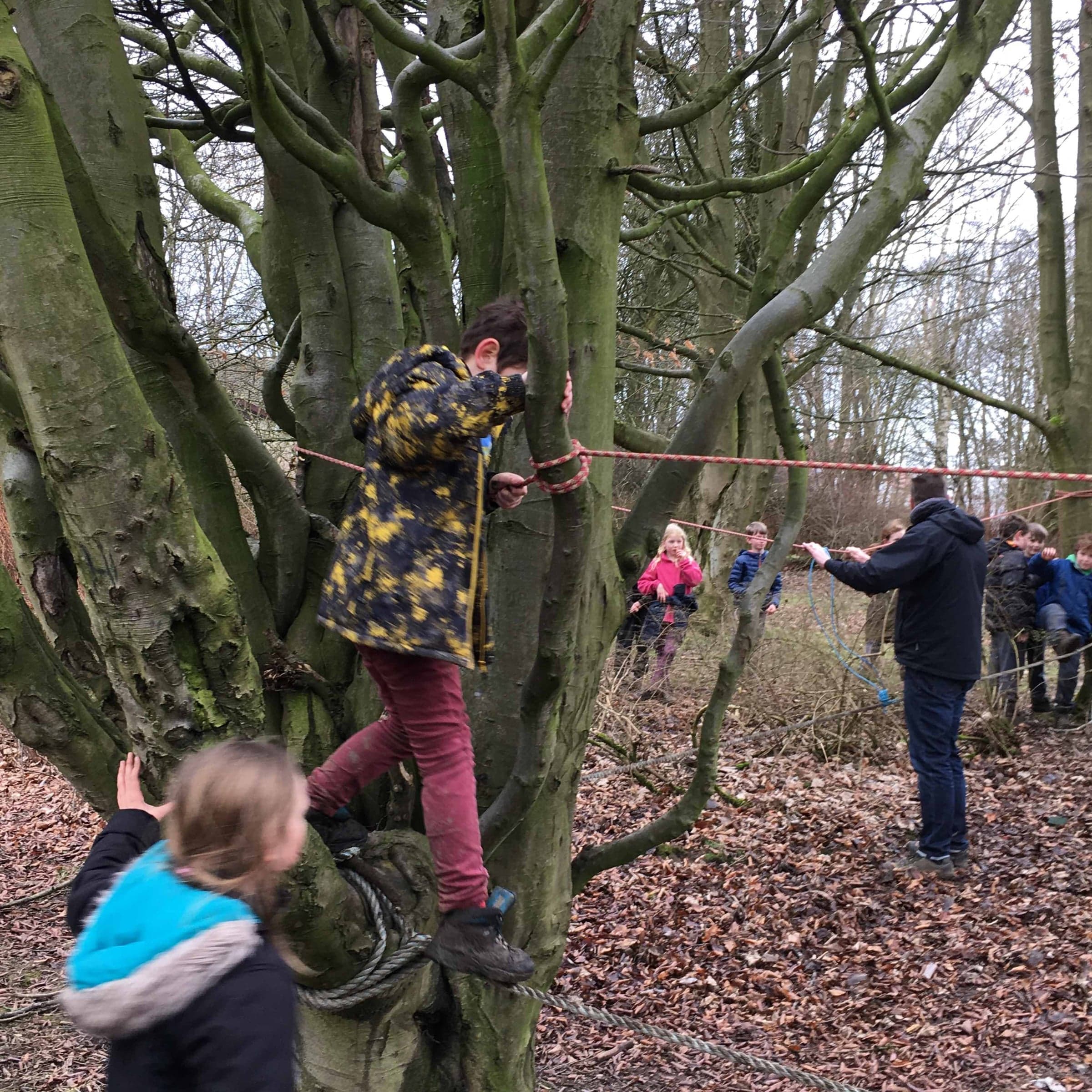 Out and about in the woods at Cub Camp.
