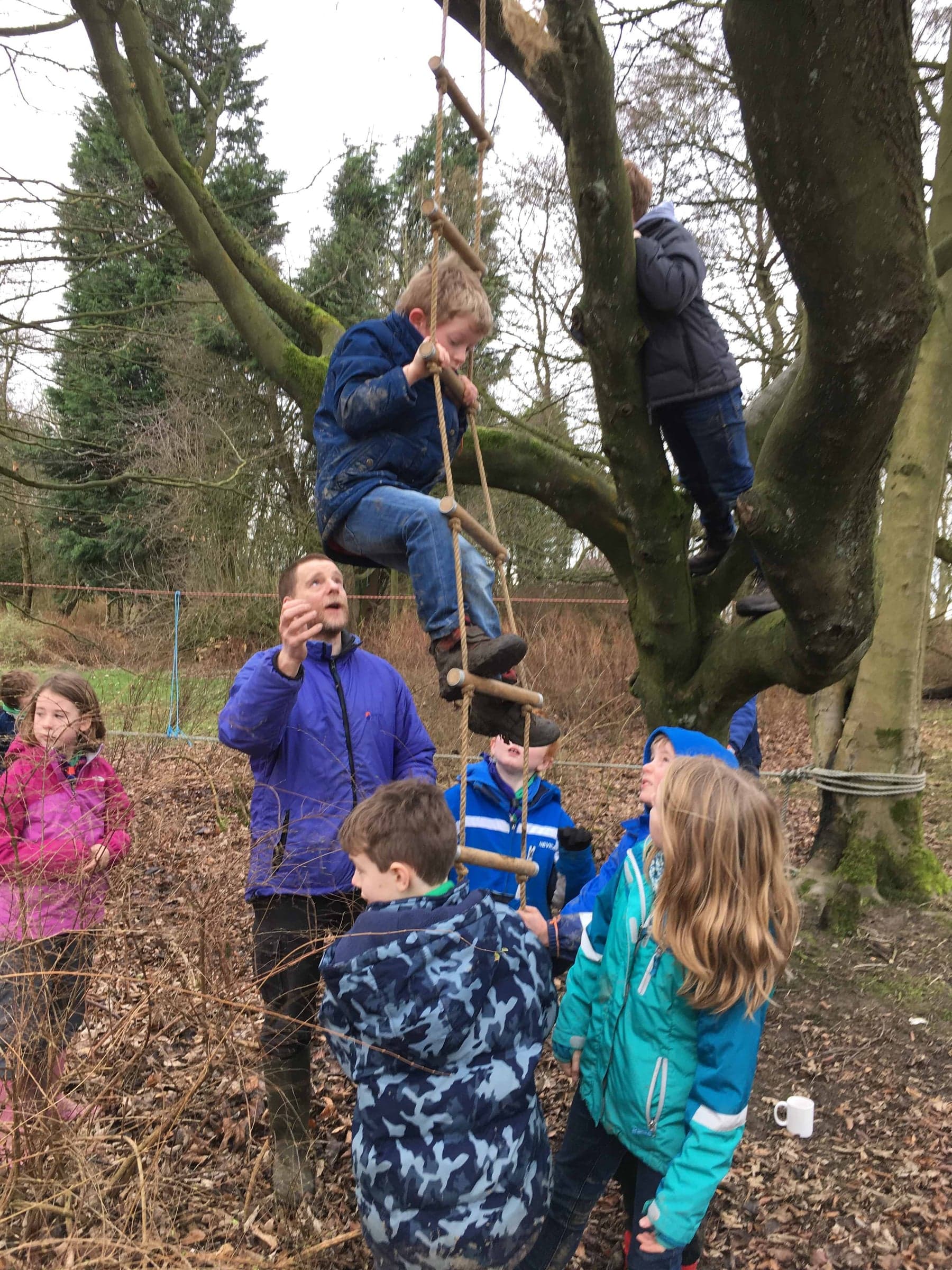 Tree-climbing at Cub Camp, Bramhope.