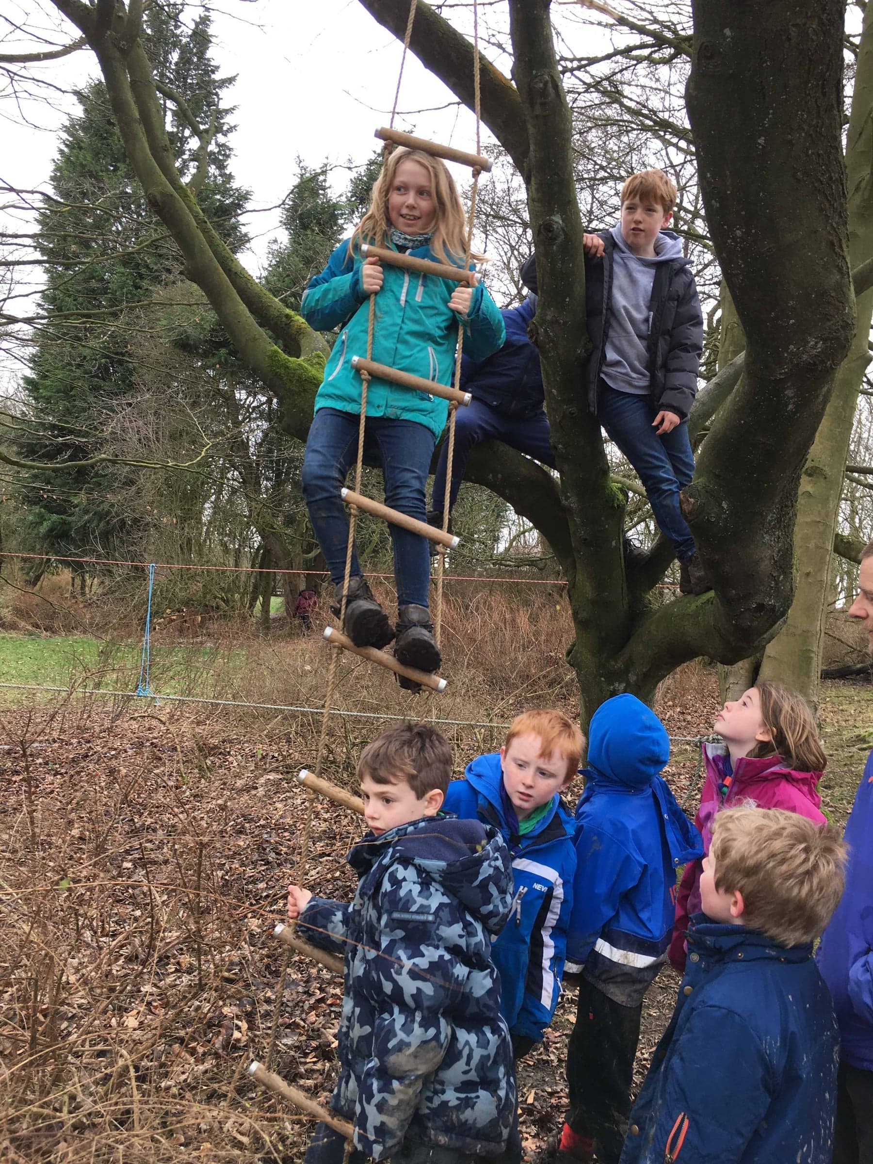 Up the trees at the February 2017 Cub Camp.