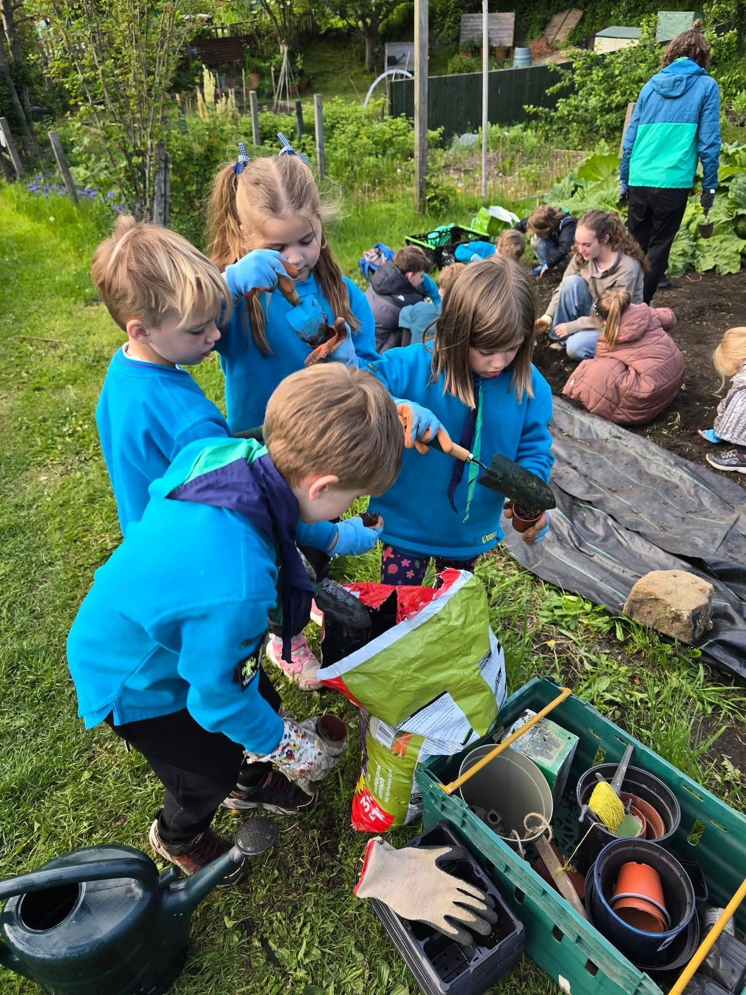 Gardening at the allotments
