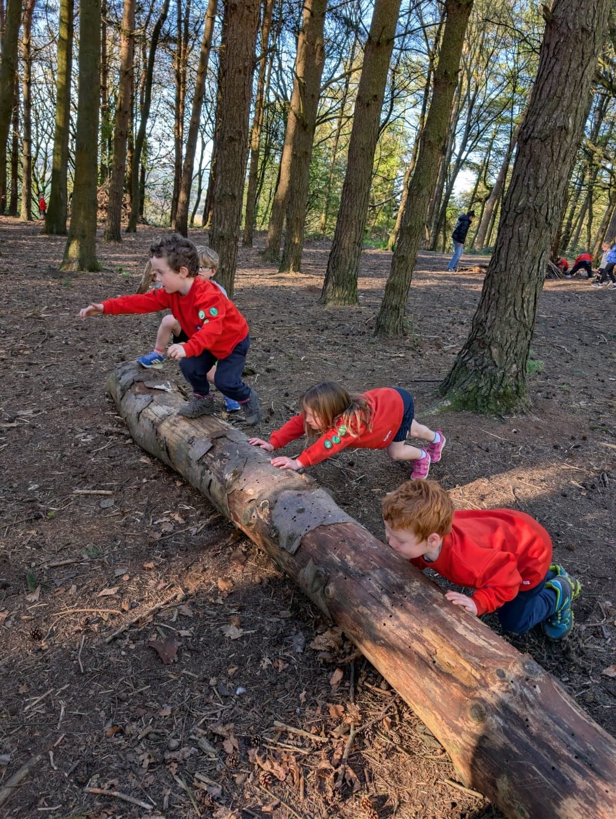 Den building